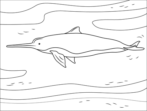 La Plata Dolphin Coloring Page